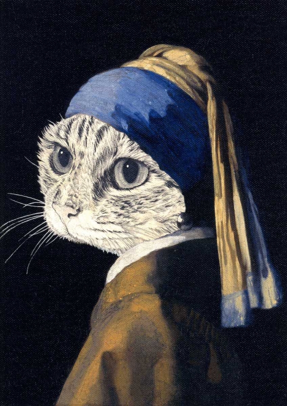 Vermeer Cat